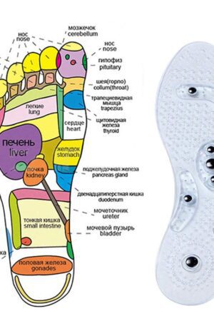 Plantillas imantadas